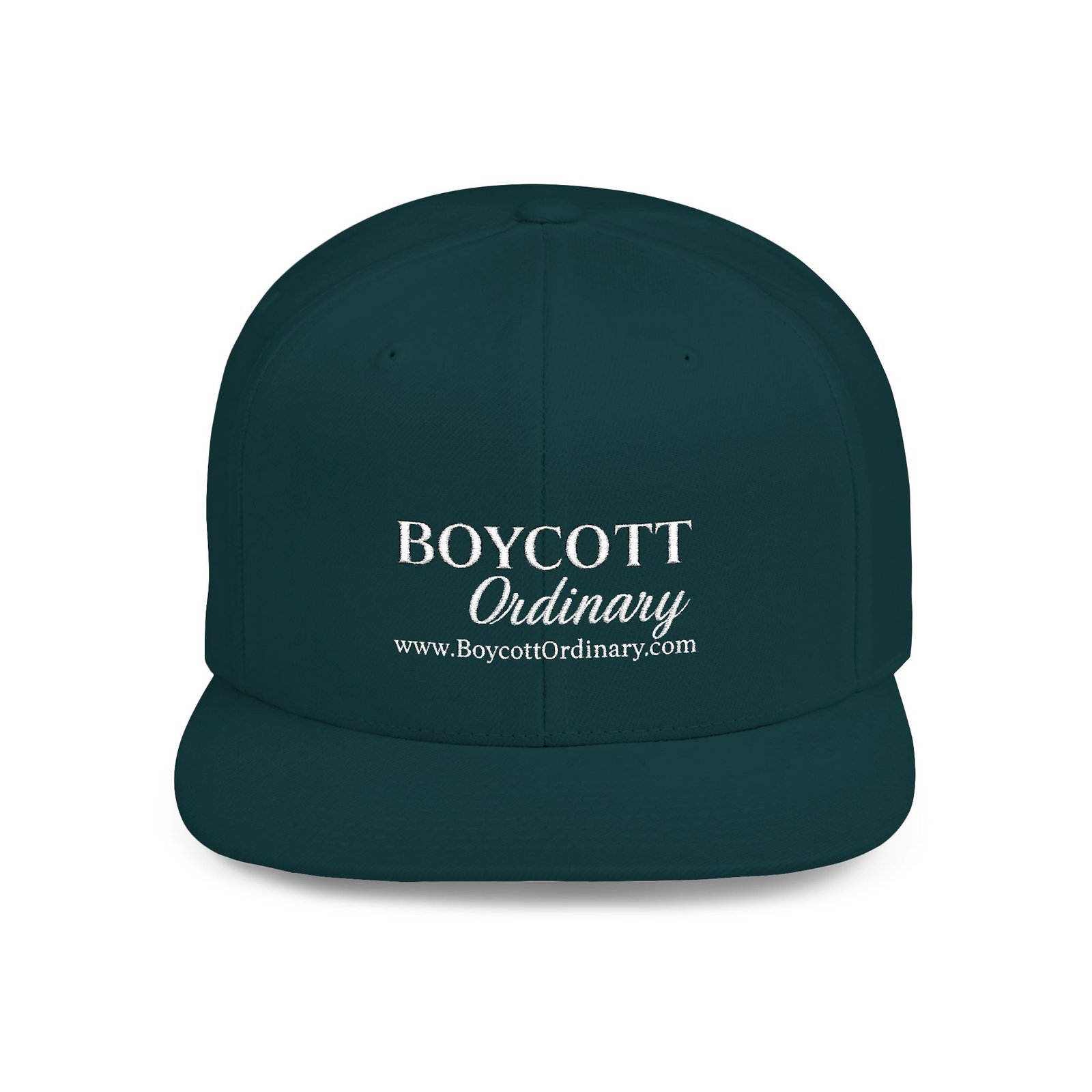 Get your head in the right place wearing this Boycott the Ordinary Snapback Hat - Image 17