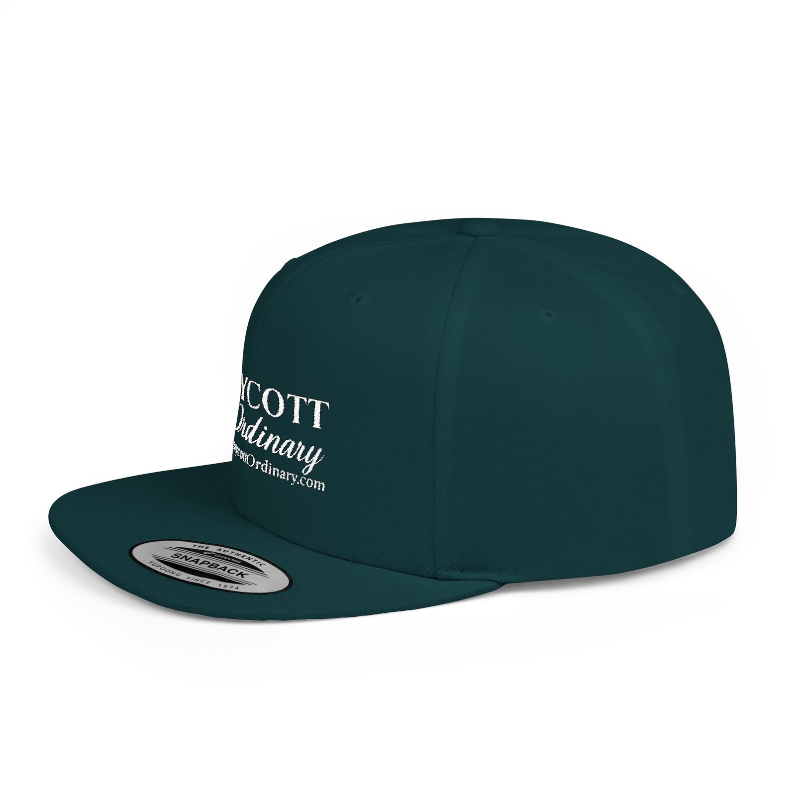 Get your head in the right place wearing this Boycott the Ordinary Snapback Hat - Image 19